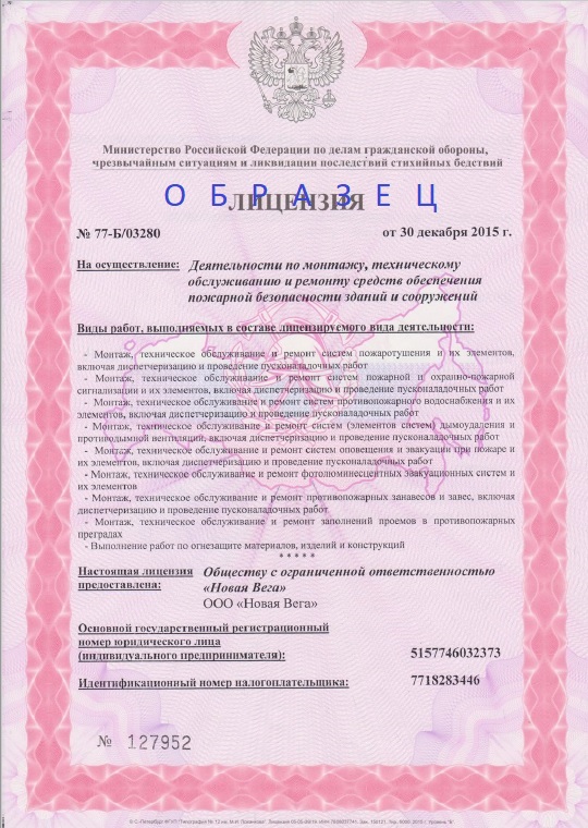 мчс 1 лиц образец